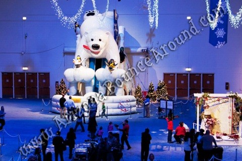 Polar Plunge dual lane slide rental Phoenix Arizona